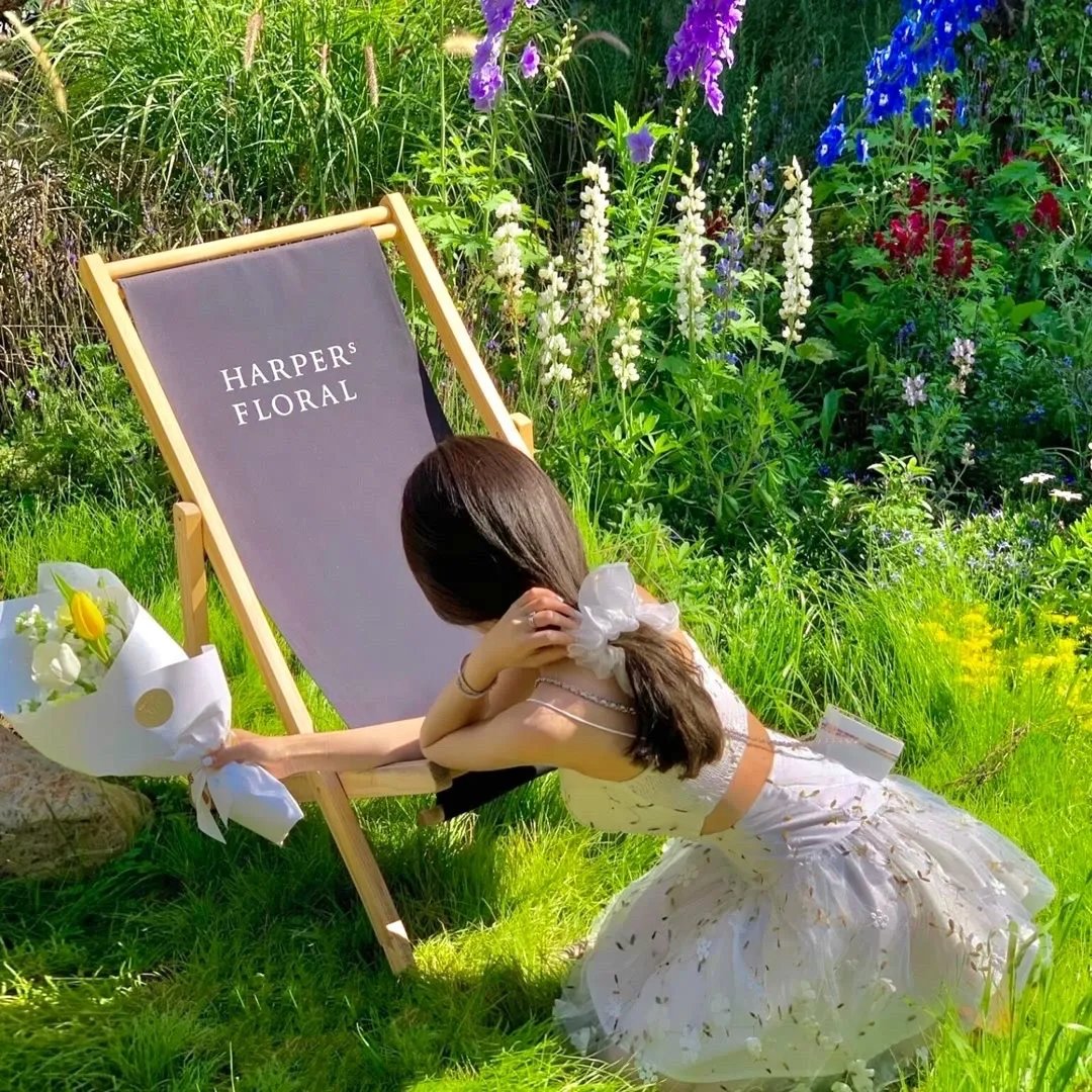 三里冢：伊卡洛斯的殒落 在线观看